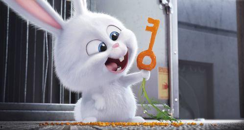 吃瓜小兔特效怎么做视频,吃瓜小兔特效视频制作全攻略