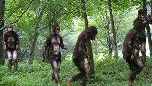 野人吃瓜视频大全,趣味视频大全集锦