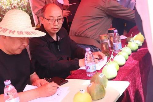 山东群众吃瓜视频大全,趣味横生的民间生活剪影