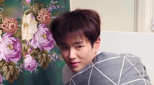 刘以豪现场吃瓜视频播放,瓜田李下，明星也爱凑热闹？