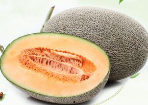 孔宝吃哈密瓜视频大全下载,视频大全下载，尽享甜蜜瞬间