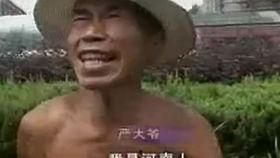 平顶山吃瓜热门事件视频,一场引发全民热议的网络狂欢