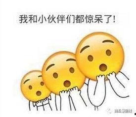 小孩子吃土瓜视频教程下载,儿童土瓜视频教程下载攻略