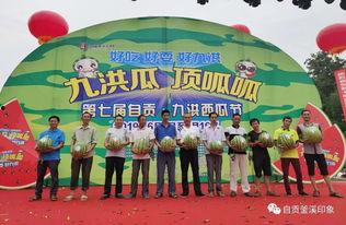 吃瓜比赛歌曲视频,一场视觉与味蕾的双重盛宴