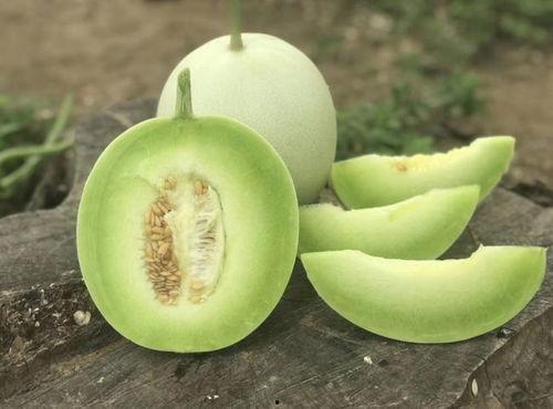 甜瓜姐姐吃瓜视频下载,揭秘娱乐圈幕后故事